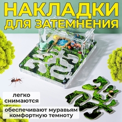 муравьиная ферма
