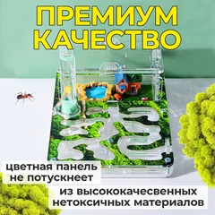 муравьиная ферма