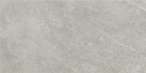 STN Arenite Grey Matt 60x120