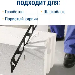 Пилки для сабельной пилы по газобетону ПРАКТИКА S1243HM, твердосплавные, длина 305 мм, шаг зубов 12 (773-514)