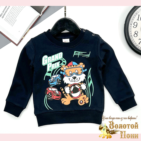 Джемпер хлопок м (1-4) 251106-GV226