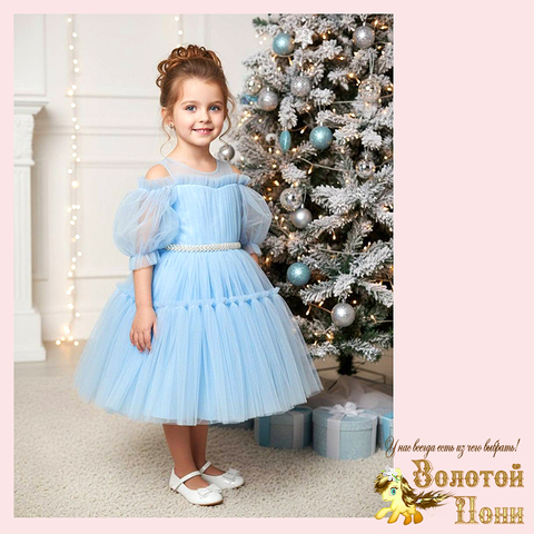 Платье нарядное на корсете (6-9) 251204-W2103