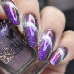 Chianti At Enzo’s (LE)