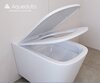 Aqueduto AQDS375T AQD комплект: TECNICA Novo Система инсталляции для подвесного унитаза, FORMA Панель смыва, хром, MACIO Tornado Унитаз подвесной 520*370 безободковый, Tornado, сиденье с микролифтом, белый глянцевый