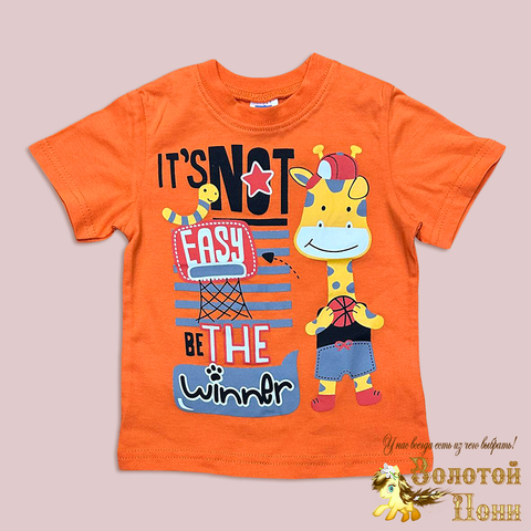 Футболка хлопок м (1-4) 260221-S7062