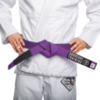 Пояс Hardcore Training Premium Purple