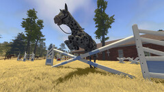 House Flipper Farm DLC (для ПК, цифровой код доступа)