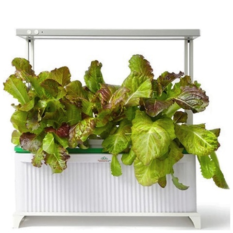 Выращиватель Домашний Сад 2.0 (гидропонная установка)