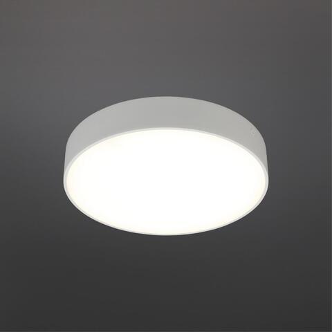 Потолочный светодиодный светильник Aployt Evon APL.0114.09.24