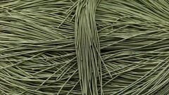 Упругая канитель хаки/перламутр 1,4мм