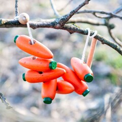 Шнуровка Морковки Леснушки УЦ