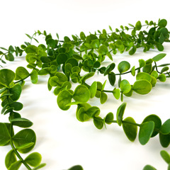 Дисхидия, Ампельное растение, искусственная зелень свисающая, цвет зеленый, 90 см, 1 шт