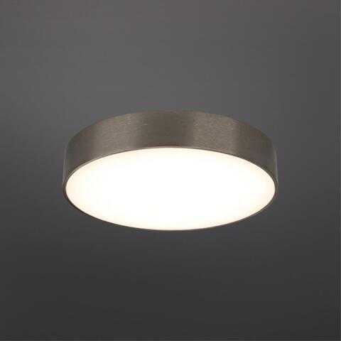 Потолочный светодиодный светильник Aployt Evon APL.0114.19.24