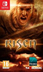 Risen (Nintendo Switch, полностью на русском языке)