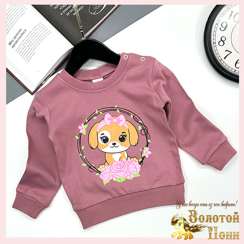 Джемпер хлопок д (1-4) 251106-GV231