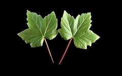 Силиконовый молд 