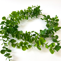 Дисхидия, Ампельное растение, искусственная зелень свисающая, цвет зеленый, 90 см, 1 шт