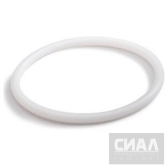 Кольцо уплотнительное круглого сечения (O-Ring) 0,74x1,02