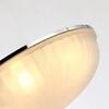 Потолочный светильник F-Promo Costa 2753-5C