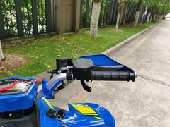 Квадроцикл YACOTA TYPHOON 250