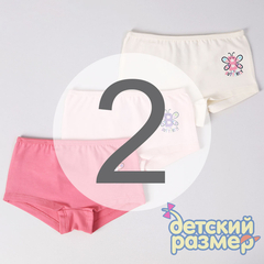 2 (3-4 года)