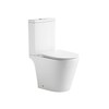 Aquatek AQ2999T-00 AQ2999T-00 ЛИБЕРТИ Унитаз напольный tornado 600*390*805, крышка дюрапласт, мех-м R&T, крепеж