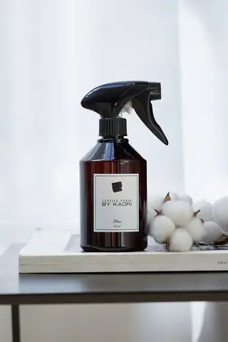 Спрей для текстиля BLANC