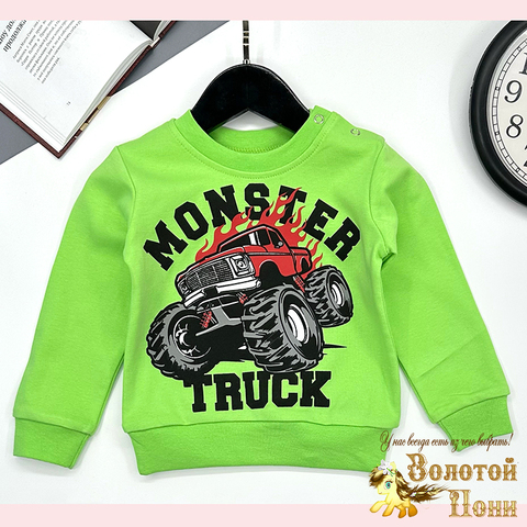 Джемпер хлопок м (1-4) 251106-GV227