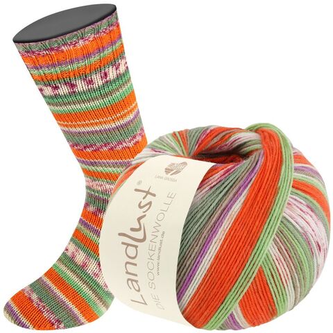 Пряжа Lana Grossa Landlust die Sockenwolle IX 313