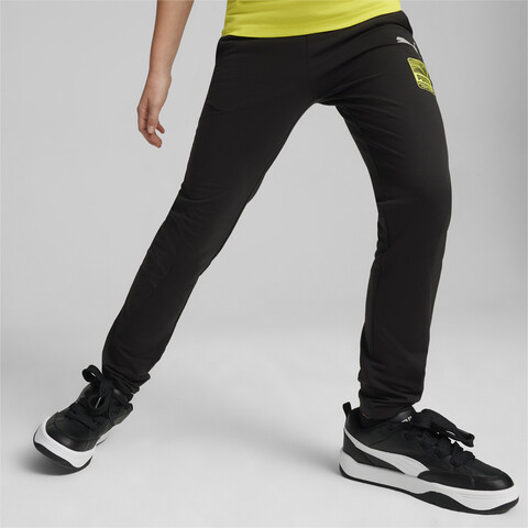 Брюки Puma ACTIVE SPORTS Pants TR B