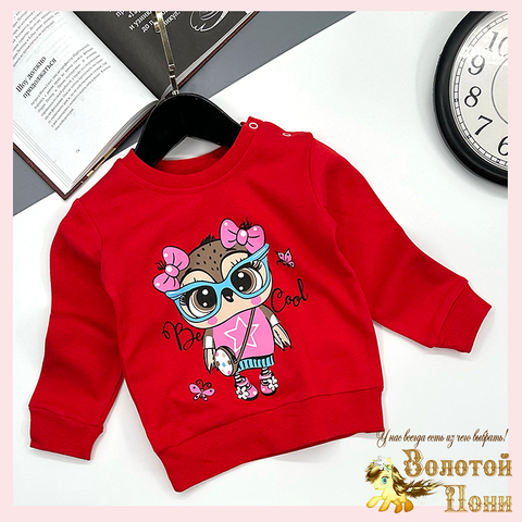 Джемпер хлопок д (1-4) 251106-GV232