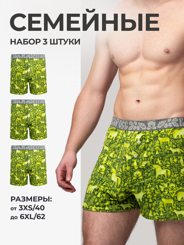 Комплект из 3-х семейных трусов - «Весенний лес»
