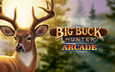 Big Buck Hunter Arcade (для ПК, цифровой код доступа)