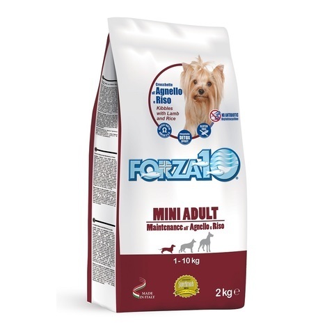 купить FORZA10 Maintenance Small/Medium Adult all’Agnello e Riso форца10 сухой корм для собак мелких и средних пород с ягненком и рисом  2 кг