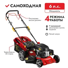 Газонокосилка бензиновая DDE LM 51-60 D ( 