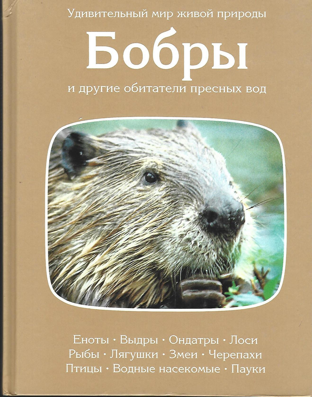 Каталог товаров в бобре. Книга бобры и другие обитатели пресных вод. Книги о бобрах. Книга бобры. Книги про Бобров.