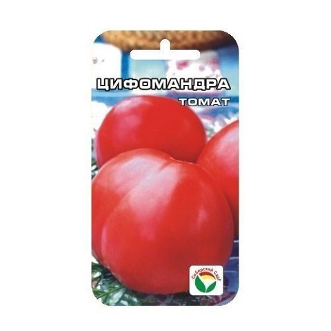 Цифомандра 20шт томат (Сиб сад)