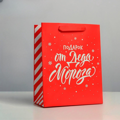 Пакет подарочный S вертикальный, «Подарок от Деда Мороза», 18*23*10 см (Д*В*Ш), 1 шт.