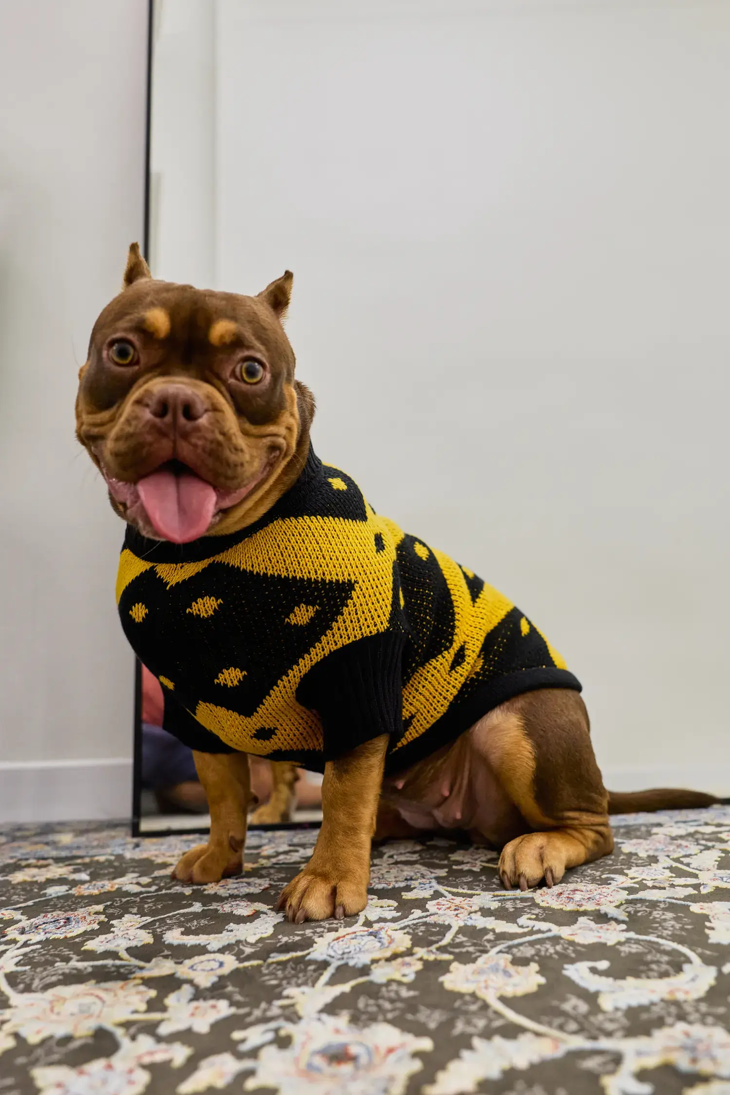 Кофточка для собачки «Тигра пчела»