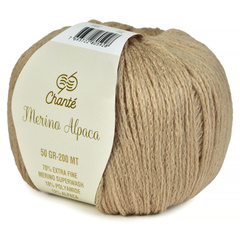 Пряжа Chante Merino Alpaca (5909)