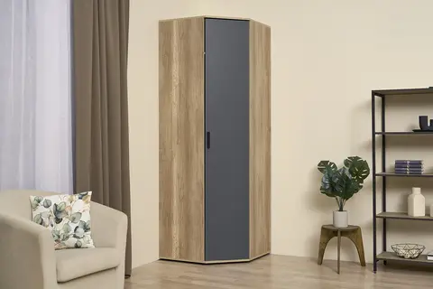 Шкаф угловой Вегас ШКУ-01 дуб каньон / графит