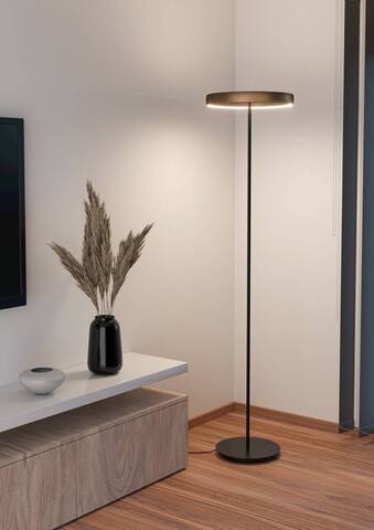 Торшер светодиодный  Eglo TRABUCO 390452