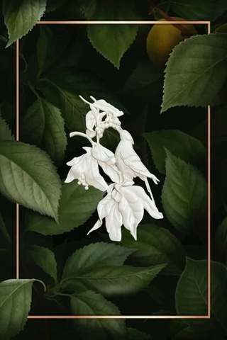 Отливка НШ 737 (12*8см)