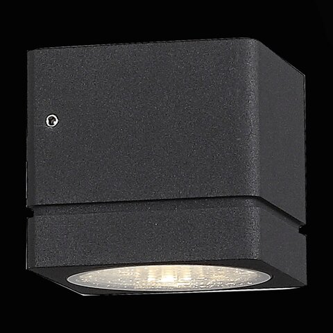 Светильник уличный ST Luce Coctobus SL563.401.01