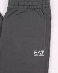 Теннисные брюки EA7 Man Jersey Trouser - iron gate
