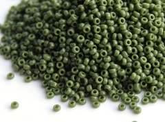 RR-0501 Opaque Avocado