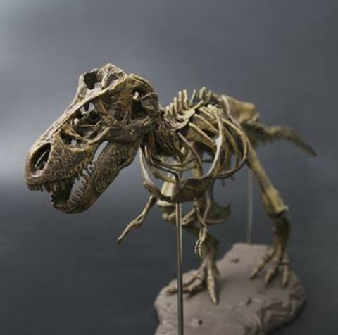 Модель сборная для покраски тираннозавр Рекс
