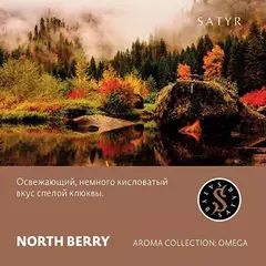 Сатир 100гр. NORTH BERRY (Клюква) (М)