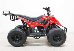 Купить Квадроцикл GreenCamel Гоби K51 (36V 800W R7 Цепь) быстросъем, ножной тормоз