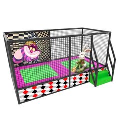 Спортивный батут "Чудеса" (4,65*2,35*2,50м)